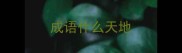 成语什么天地
