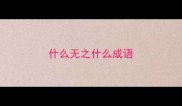 什么无之什么成语