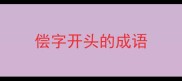 偿字开头的成语