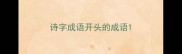 诗字成语开头的成语