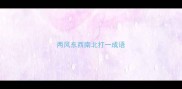 两风东西南北打一成语