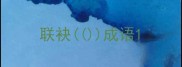 联袂成语