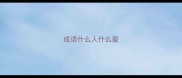成语什么人什么爱