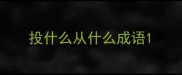 投什么从什么成语