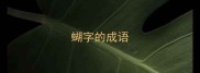 蝴字的成语