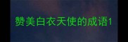 赞美白衣天使的成语