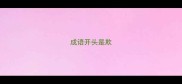 成语开头是欺