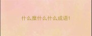 什么糜什么什么成语