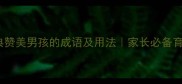 10个经典赞美男孩的成语及用法家长必备育儿指南