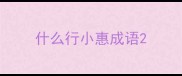 什么行小惠成语
