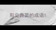 形容青菜的成语