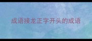 成语接龙正字开头的成语