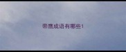 带鹰成语有哪些