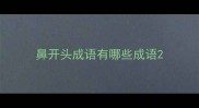 鼻开头成语有哪些成语