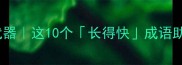 逆袭人生的秘密武器这10个长得快成语助你快速突破瓶颈期