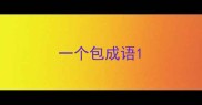一个包成语
