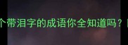 泪流满面这10个带泪字的成语你全知道吗附情感表达技巧