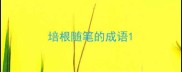 培根随笔的成语