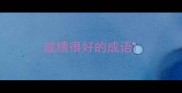 成绩很好的成语