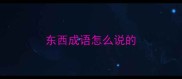 东西成语怎么说的