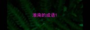淮南的成语