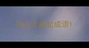 什么于成见成语