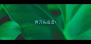 舜开头成语