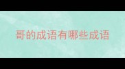 哥的成语有哪些成语