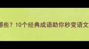 带虎豹的成语有哪些10个经典成语助你秒变语文学霸收藏必备