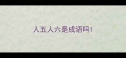 人五人六是成语吗
