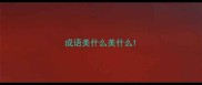 成语美什么美什么