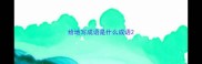 给地写成语是什么成语
