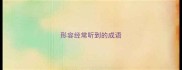 形容经常听到的成语