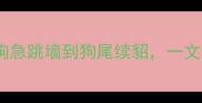 带狗字的100个成语有哪些从狗急跳墙到狗尾续貂一文掌握所有含狗成语的用法和寓意