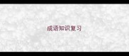 成语知识复习