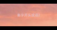 奏字开头成语