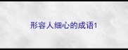 形容人细心的成语