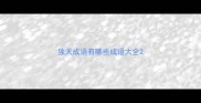 独天成语有哪些成语大全