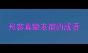 形容真挚友谊的成语