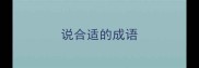 说合适的成语