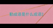 動成语是什么成语
