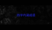 四字内涵成语