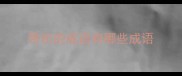 带所的成语有哪些成语