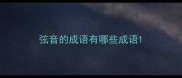 弦音的成语有哪些成语