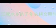 鱼米之乡探秘江南水乡的千年农耕文明与诗意栖居指南