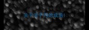 关于关于弓的成语