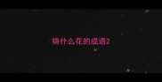 锦什么花的成语