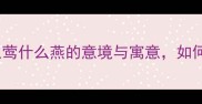 莺啼燕语燕语莺声什么莺什么燕的意境与寓意如何巧妙运用于写作和文案