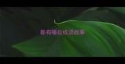 都有哪些成语故事