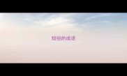 短组的成语